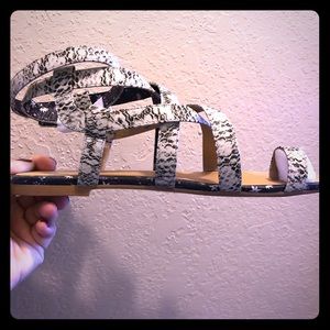 CAbi gladiator sandals